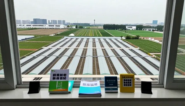 教辅资料数据迁移中的挑战与解决方案